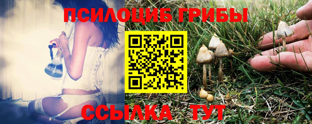 Тула  Галлюциногенные грибы Psilocybe  Вход с VPN 